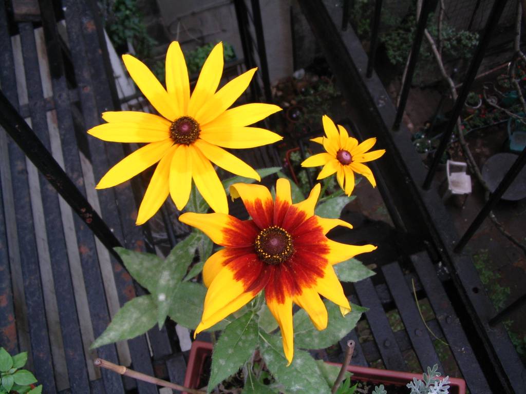 We are living in our dream apartment four weeks!